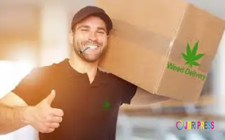 Why Are More People Choosing Edibles Delivery in Cambridge for Easy Shopping?