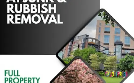 Full Property Clearance Services in Dublin Now Offering Same-Day Solutions for Busy Homeowners