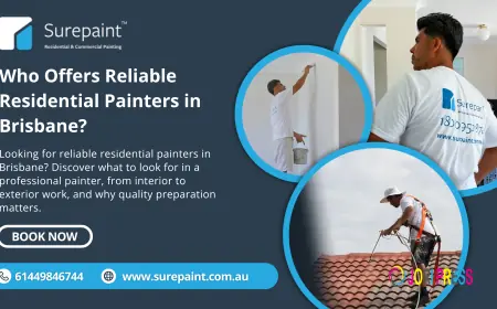 How to Choose the Best Timber Decking in Brisbane?