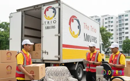 Why Hiring Movers and Packers Singapore Is the Smart Choice for Relocation