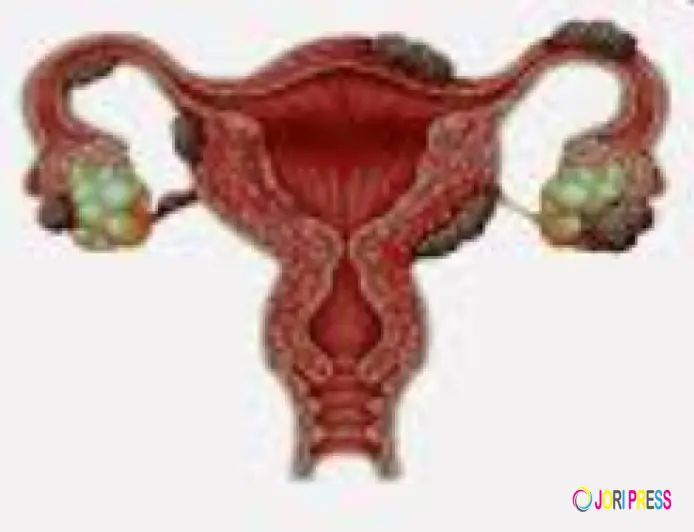 IVF Center in Amritsar: Complete Guide to Choosing the Right Fertility Clinic