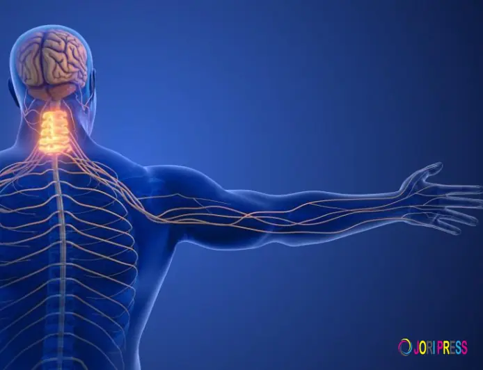 What to Do If a Child Has a Seizure – Essential First Aid Guide