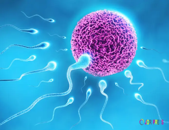IVF Center in Amritsar: Cost Breakdown and Affordable Treatment Options