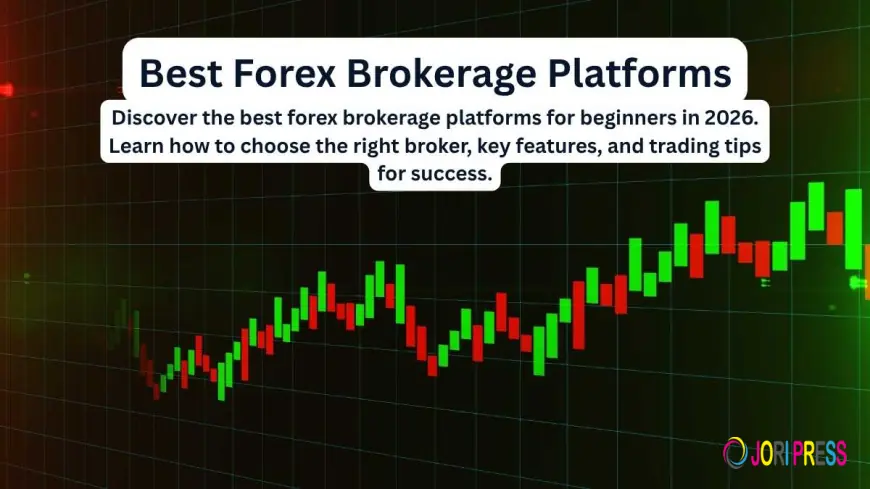 Top Features of the Best Forex Brokerage Platforms in 2026