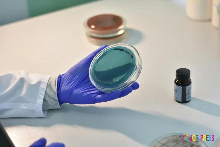 Why Digital Marketing is Becoming the Most Popular Career Choice in Pune