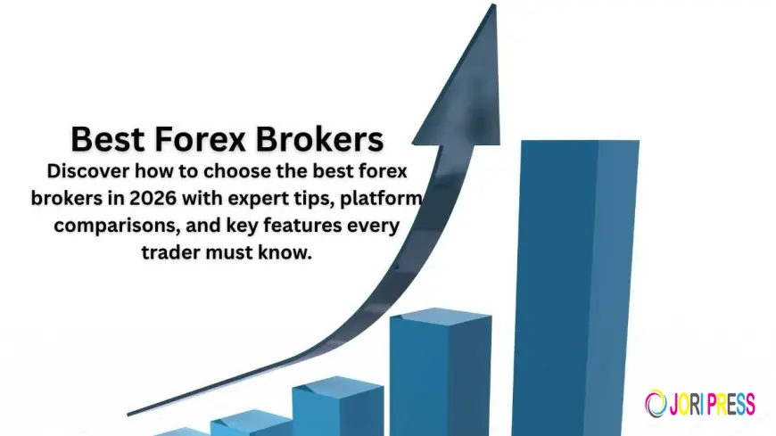 Regulated Forex Brokers: Why Safety Matters in Online Trading