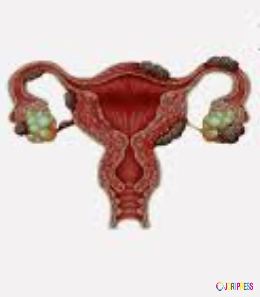 IVF Center in Amritsar: Complete Guide to Choosing the Right Fertility Clinic