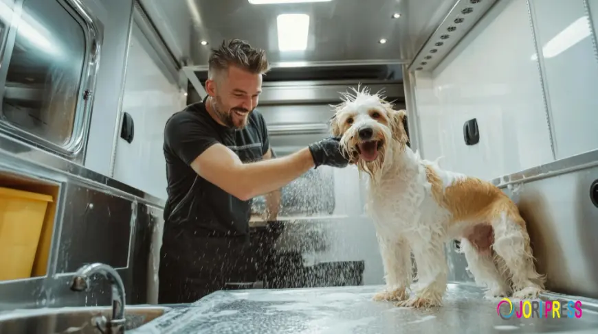 Chewbarka Grooming Introduces Convenient At-Home Mobile Dog Washing Service in Fort Worth, TX