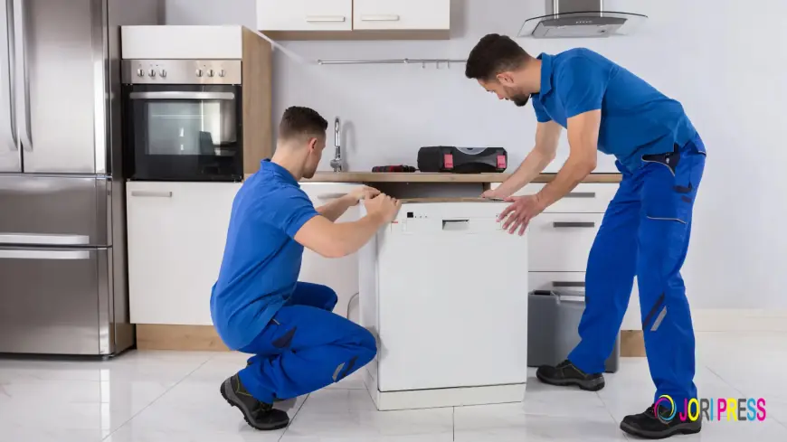 Understanding the Costs of Dishwasher Repair Services
