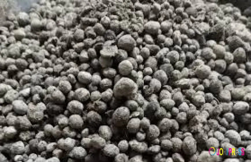 Cómo aumentar la fertilidad del suelo con fertilizantes adecuados