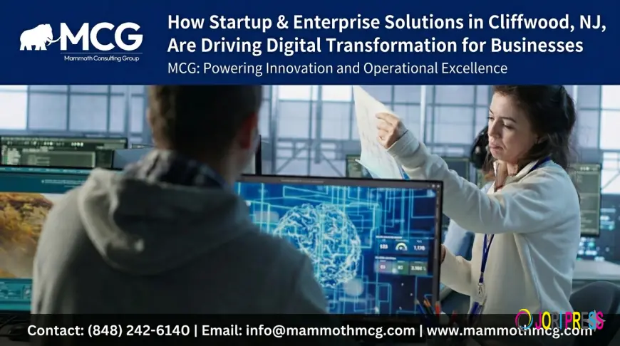 How Startup & Enterprise Solutions Cliffwood, NJ, Are Driving Digital Transformation for Businesses