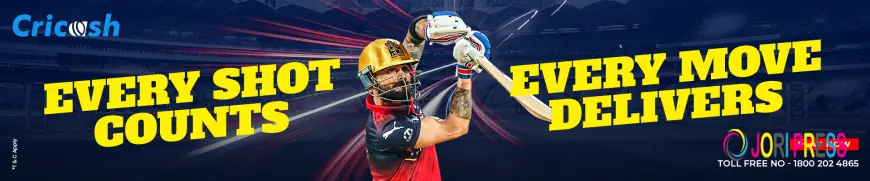 A Closer Look at IPL Matches Through Performance and Strategy Insights