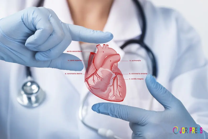 Best Cardiologist in Sharjah: Complete Guide to Heart Health & Care