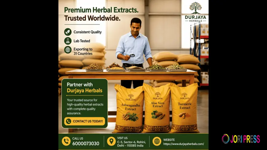 Ashwagandha Extract Wholesalers | Trusted India Supply