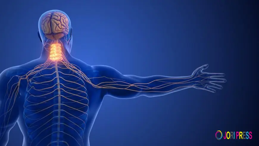 What to Do If a Child Has a Seizure – Essential First Aid Guide