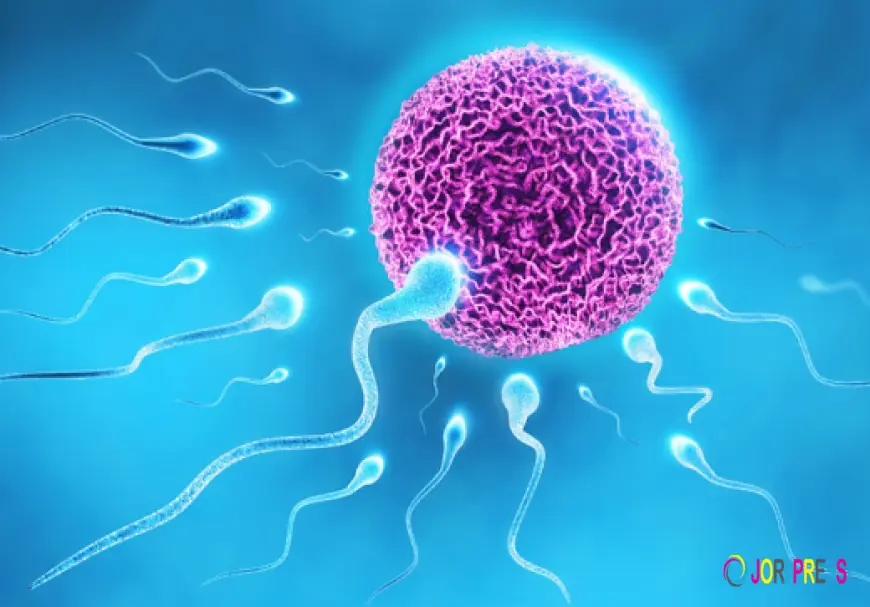 IVF Center in Amritsar: Cost Breakdown and Affordable Treatment Options