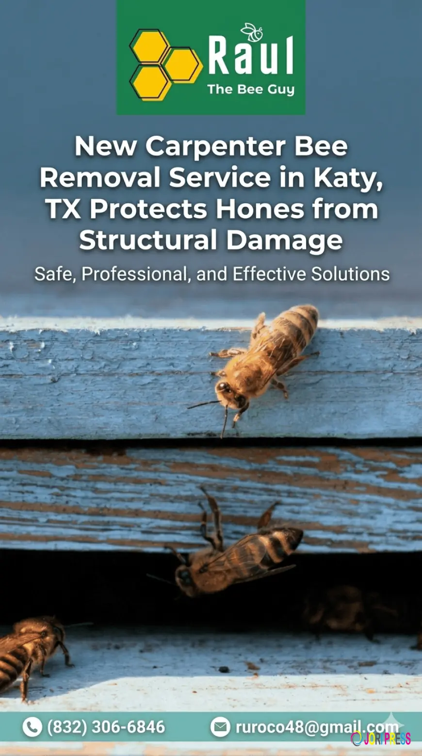 New Carpenter Bee Removal Service in Katy, TX Protects Homes from Structural Damage