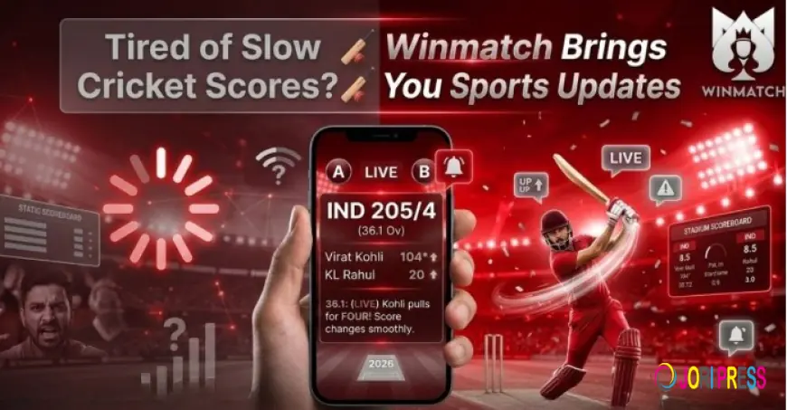 Never Miss a Ball: How Winmatch is Changing Cricket Updates