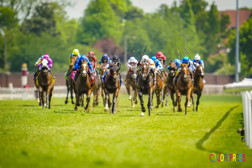 How playinhorse Makes Following Sports Simple and Efficient