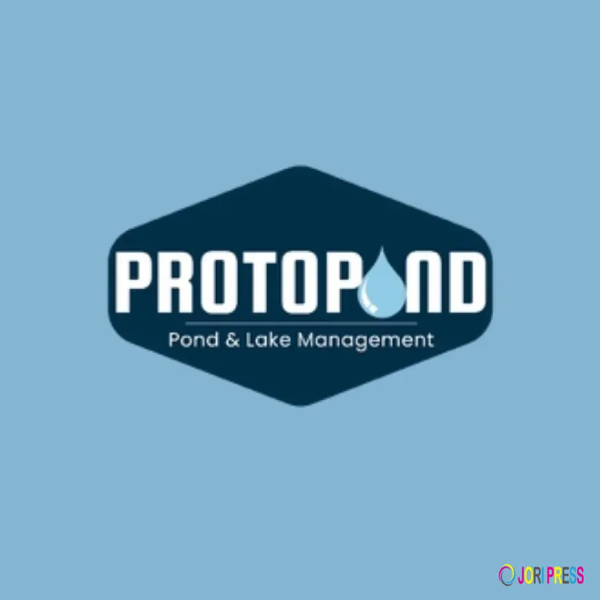 Pond Fountain Guide for Beauty, Care, and Calm Life Pro