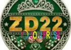 ZD22 Game: A New Trend in Online Gaming Entertainment