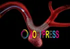 Flow Diverter: The Revolutionary Brain Aneurysm Treatment Changing Lives