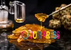 Why Cannabis Shatter Delivers Fast Effects
