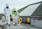 Understanding Asbestos Inspection and Testing Procedures, Risks, and Regulations