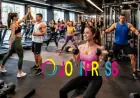 Elevate The Best Gym in Panchkula for Modern Equipment and Expert trainer