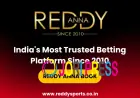 Reddy Anna Club and Modern Online Entertainment Trends
