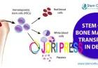 Advanced Stem Cell Therapy Solutions in India for Regenerative Healing