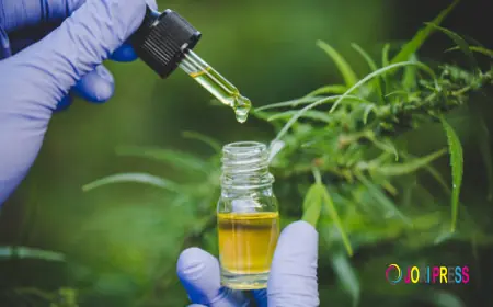 How North America Cannabis Use Reflects Changing Healthcare Approaches