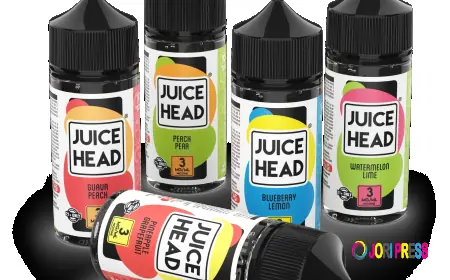 Best Mango Strawberry Juice Head ZTN Freeze Review 2026