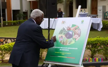 Uganda’s wildlife species increasing despite pressure on the resource.