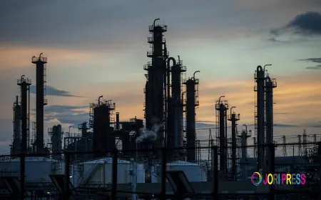 VZFOX Canada Strengthens Oil and Gas Consulting Services Across Calgary’s Evolving Energy Sector