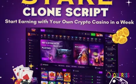Stake Clone Script with Real-Time Gaming Engine for Entrepreneurs