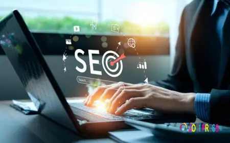 Freelance SEO Services in Delhi fNCR or Business Growth