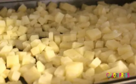 Frozen Potato Market Scope Revealed With Global Demand Growth Insights Driving Expansion