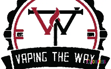 Cheap Disposable Vapes Canada – VapingTheWay