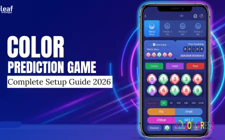 Color Prediction Game: Complete Setup Guide for 2026