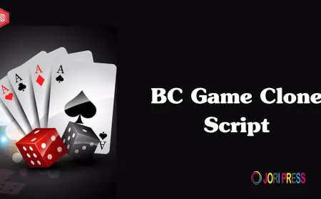 How Can a BC Game Clone Script with Crypto Payment Integration Boost Your Casino Business?