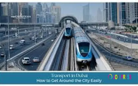How to Save Money on Transport in Dubai