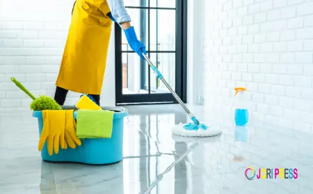Rep Cleaning Services Limited Launches Professional Cleaning Company in Edinburgh