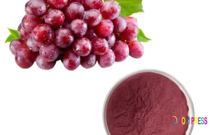 Grape Skin Extract Market Emerging Trends Breakthrough Insight Into Grape Skin Extract Supplements Demand Surge