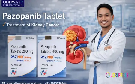 Pazopanib Price for B2B Wholesale Buyers Philippines - Oddway