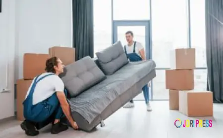 Make Your Relocation Easy with Experienced Movers in Singapore