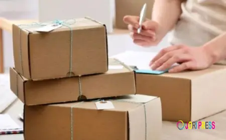 Free vs Paid Next Day Delivery: What Do Sellers Prefer?
