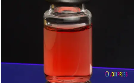 How Magnetic Nanoparticles Are Revolutionizing Drug Delivery Systems