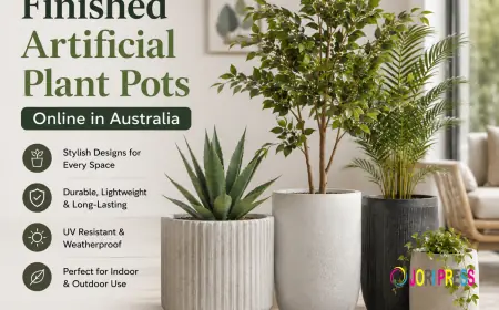 Get Beautifully Finished Artificial Plant Pots Online in Australia