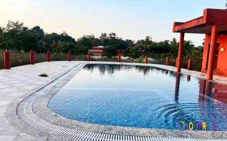 Best Resorts in Bandhavgarh for a Luxury Jungle Stay – The Tiger Valley Resort